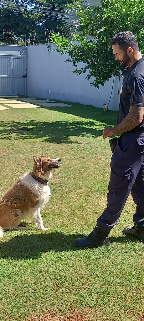 André Andrade, adestrador de cães profissional em Belo Horizonte