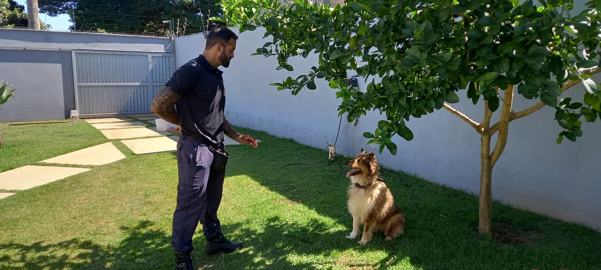 André Andrade, adestrador de cães profissional em Belo Horizonte